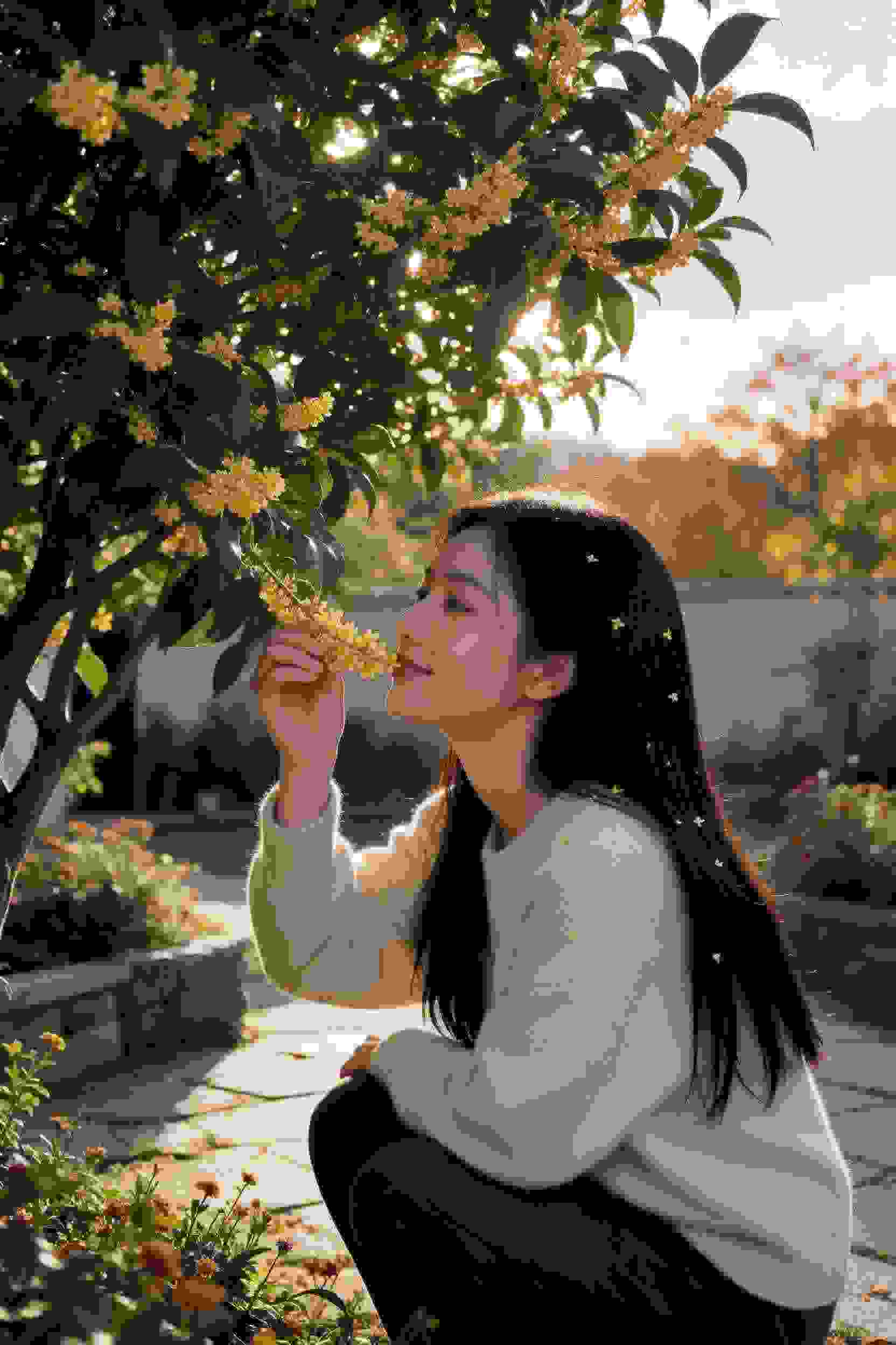 太阳的后裔